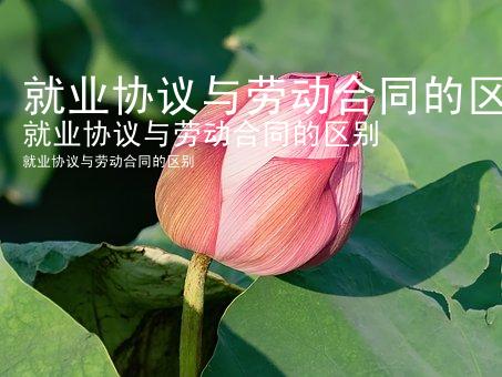 就业协议与劳动合同的区别