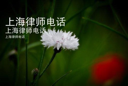 上海律师电话