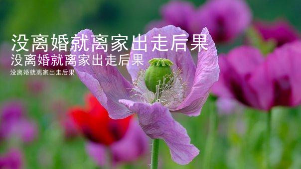 没离婚就离家出走后果