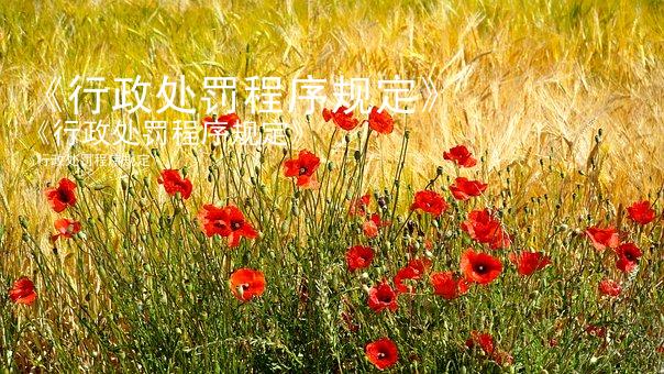 《行政处罚程序规定》