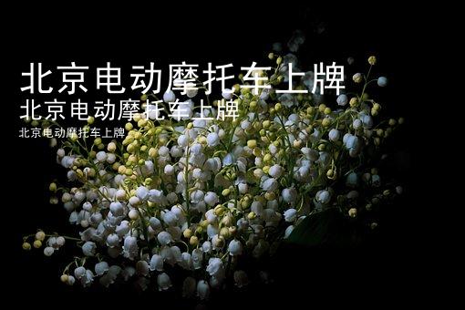 北京电动摩托车上牌