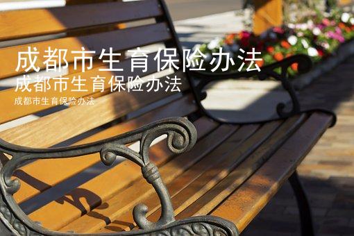 成都市生育保险办法