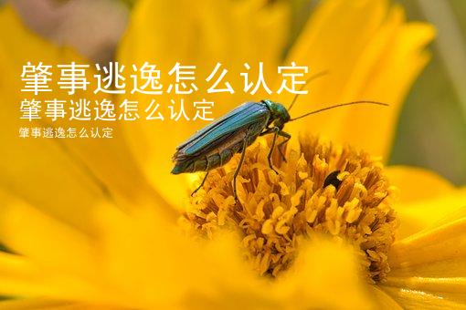 肇事逃逸怎么认定