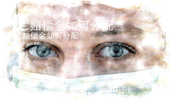 死亡赔偿金如何分配