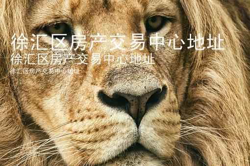 徐汇区房产交易中心地址