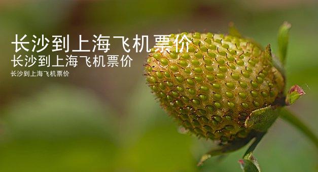 长沙到上海飞机票价