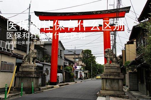 医保和社保有什么区别