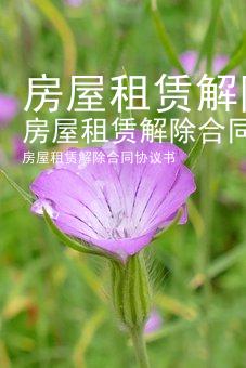 房屋租赁解除合同协议书