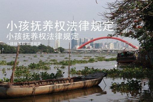 小孩抚养权法律规定