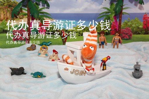 代办真导游证多少钱