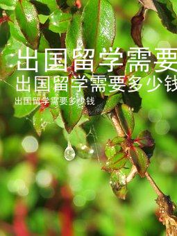 出国留学需要多少钱
