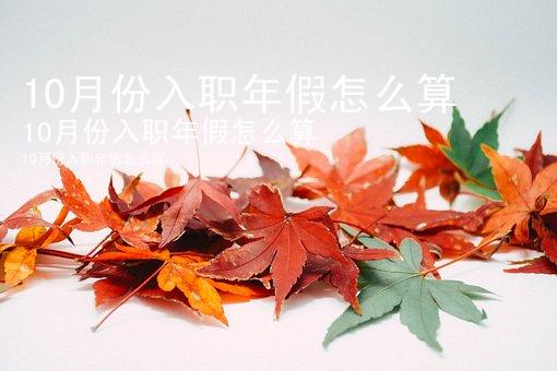 10月份入职年假怎么算