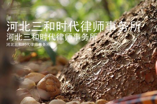 河北三和时代律师事务所