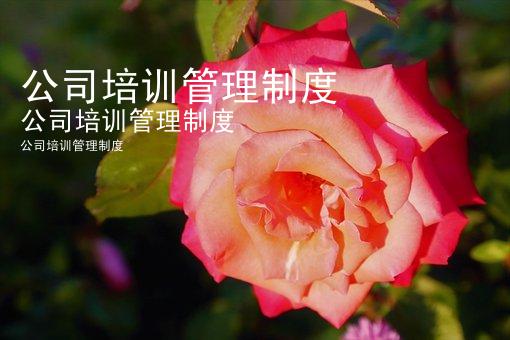公司培训管理制度