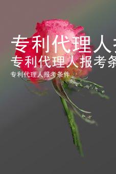 专利代理人报考条件