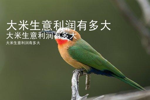 大米生意利润有多大