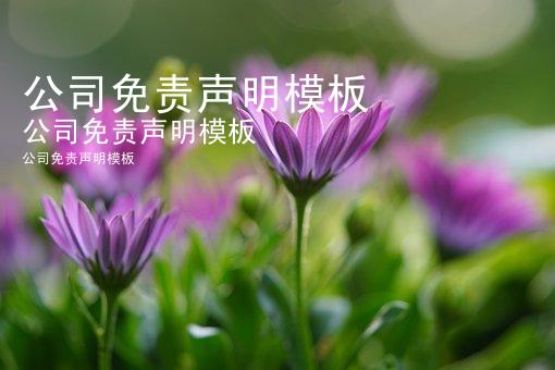 公司免责声明模板